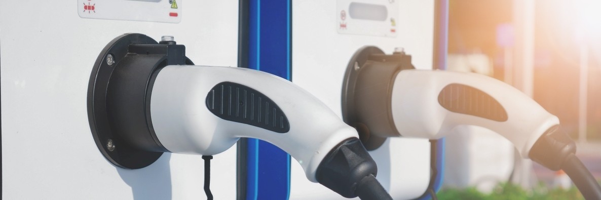 Branża z perspektywami