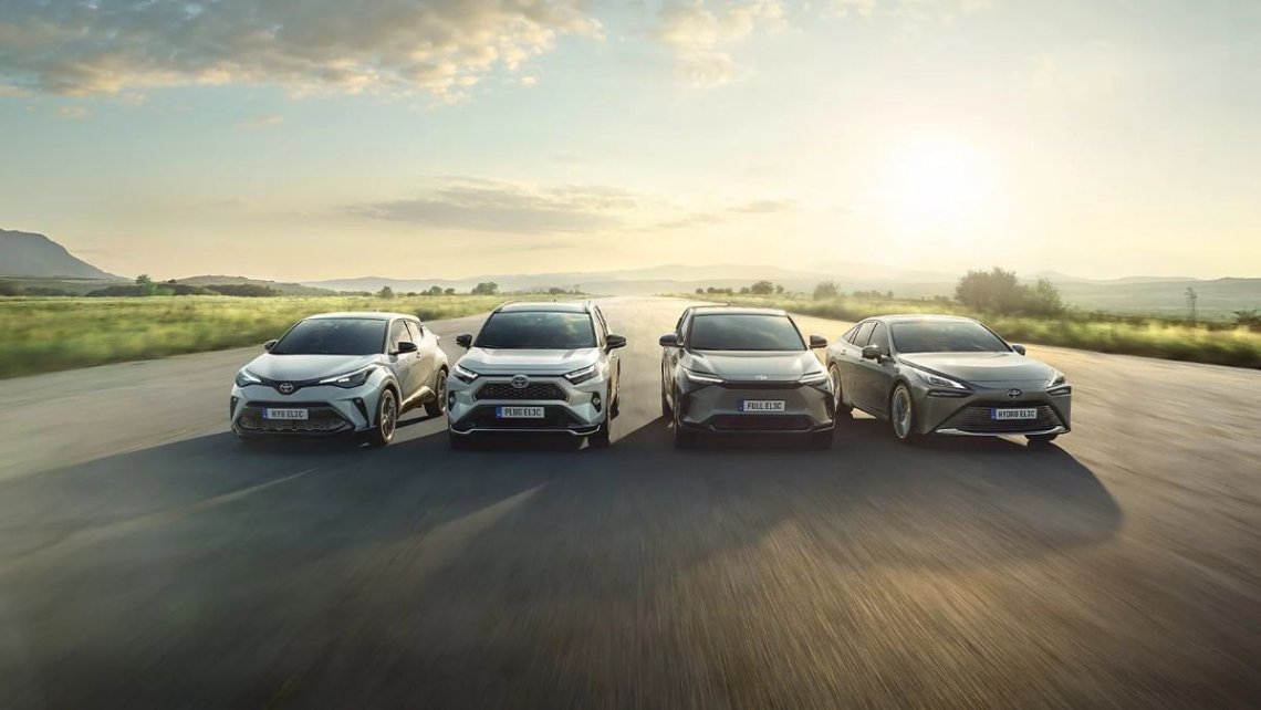 W całym 2025 r. w ogólnym rankingu leaderem jest Toyota, która zarejestrowała 92 128 szt., mniej niż rok wcześniej (-11,3%). Uzyskała 15,4% udziału w rynku. Na drugim miejscu, z dużą stratą do leadera, Skoda, która zarejestrowała 65 513 szt. ze wzrostem o 8,9% uzyskując 11% udziału w rynku. Na trzecim miejscu Volkswagen (42 932 szt. +11,8%) z 7,2% udziałem. Za nim znalazły się BMW (31 306 szt. +15,4%) oraz Kia (30 743 szt. -7,8%).