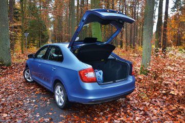 Skoda_Rapid-PD (5)