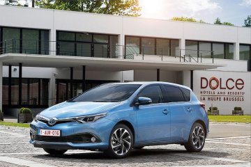 large_Auris_06