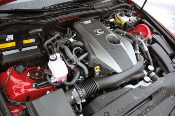 IMG_6237