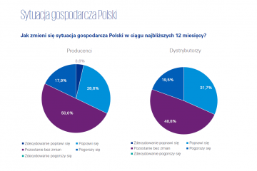 KPMG raport (1)