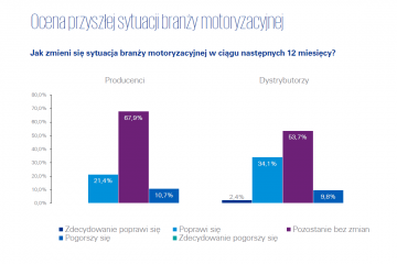 KPMG raport (2)