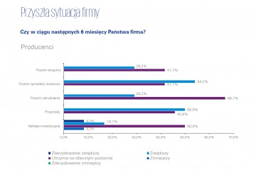 KPMG raport (3)